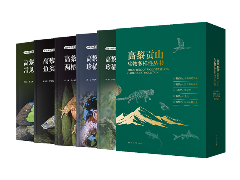 电子游戏app下载安装