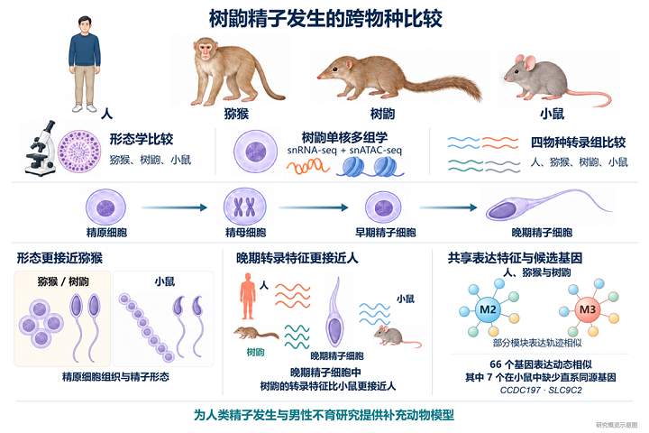 电子游戏app下载安装