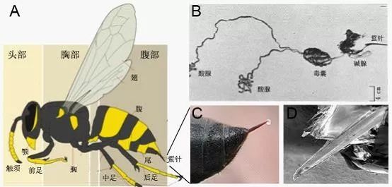 电子游戏app下载安装