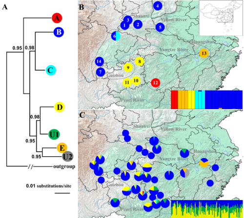 电子游戏app下载安装