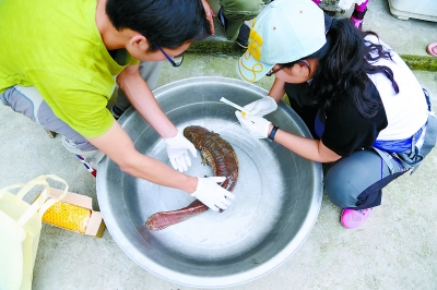 电子游戏app下载安装