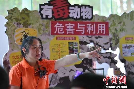 电子游戏app下载安装