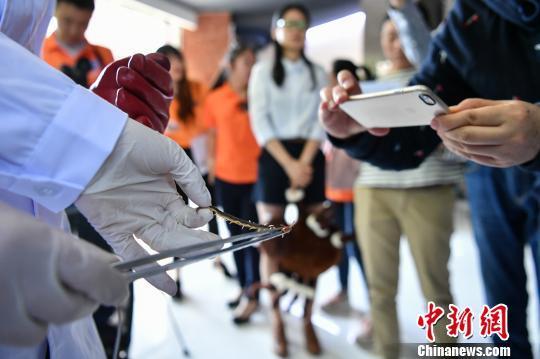 电子游戏app下载安装