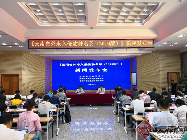 电子游戏app下载安装