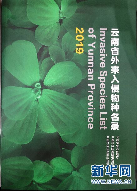 电子游戏app下载安装