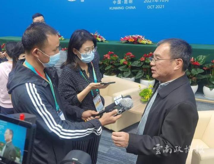 电子游戏app下载安装