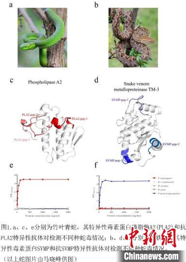 电子游戏app下载安装