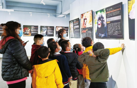 电子游戏app下载安装