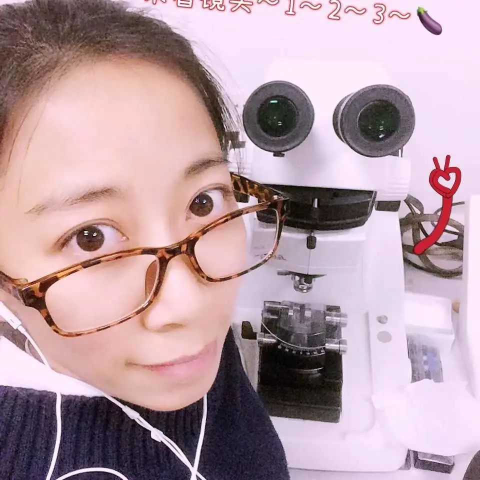 电子游戏app下载安装