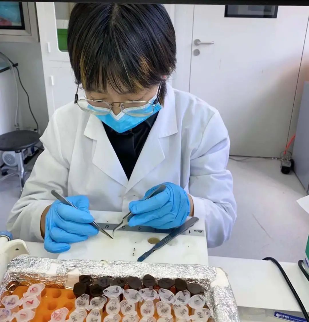 电子游戏app下载安装