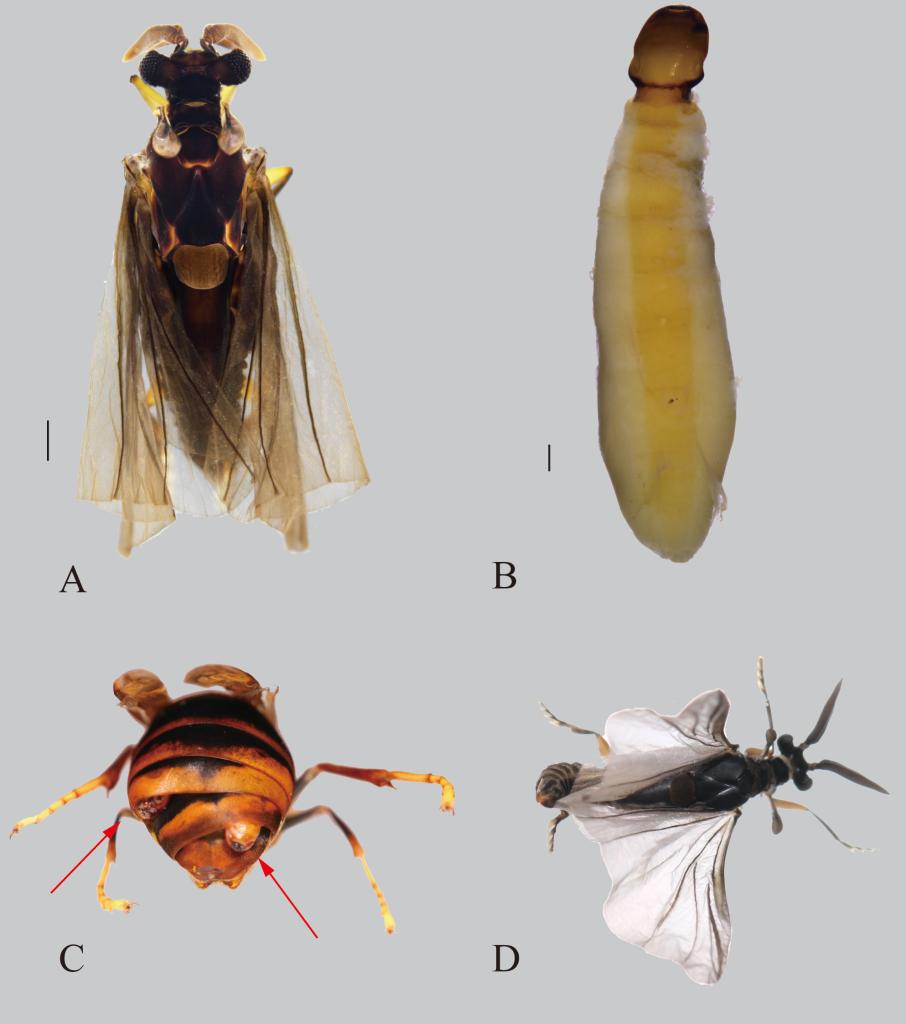 电子游戏app下载安装