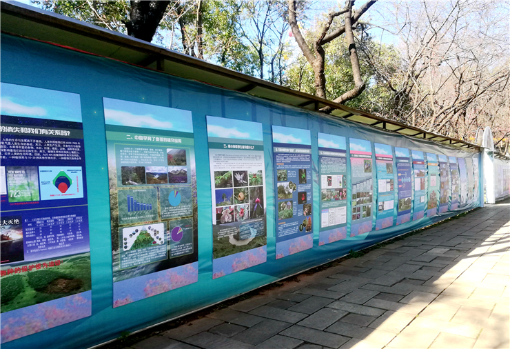 电子游戏app下载安装