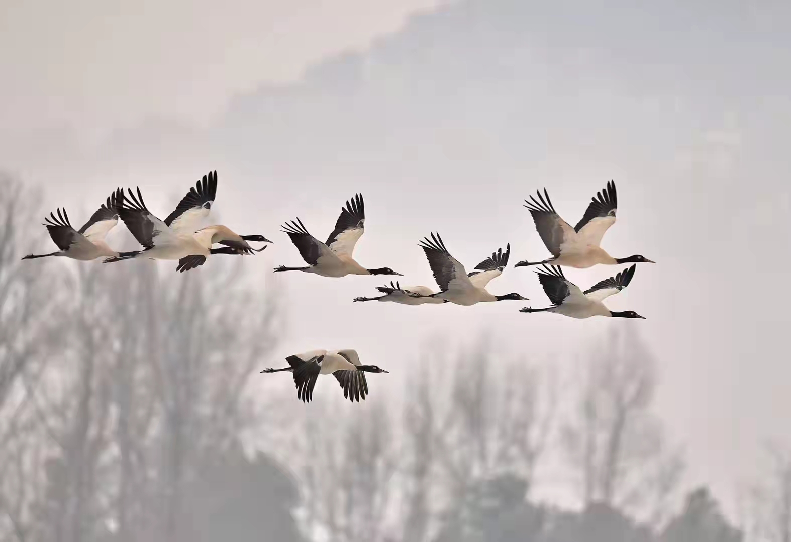 电子游戏app下载安装