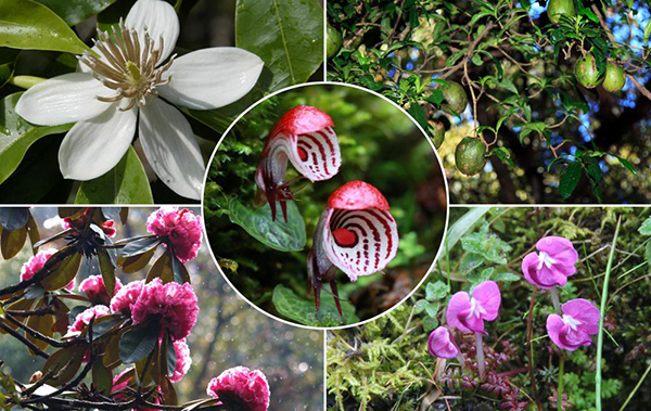 电子游戏app下载安装