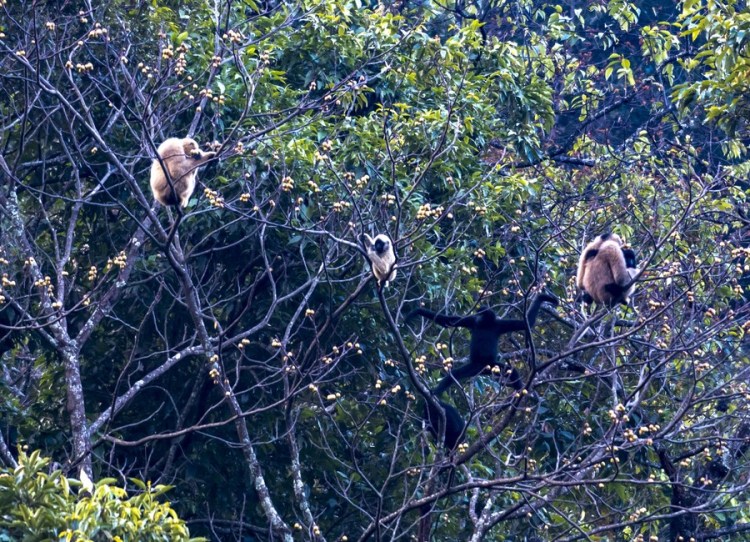 电子游戏app下载安装