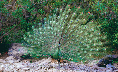 电子游戏app下载安装