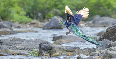 电子游戏app下载安装