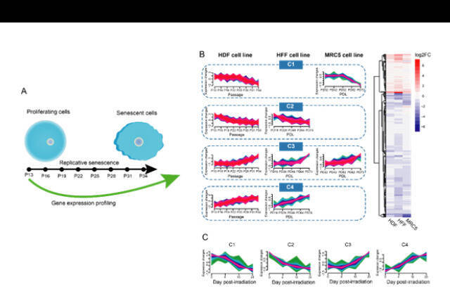 电子游戏app下载安装