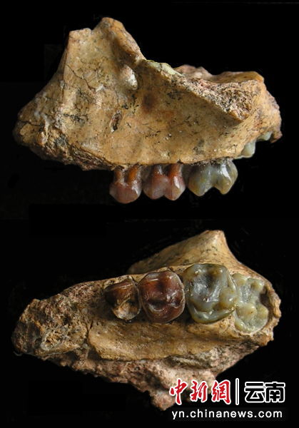电子游戏app下载安装