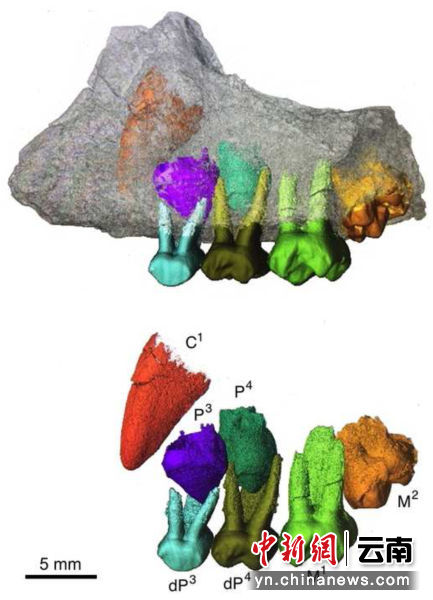 电子游戏app下载安装