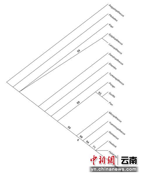 电子游戏app下载安装