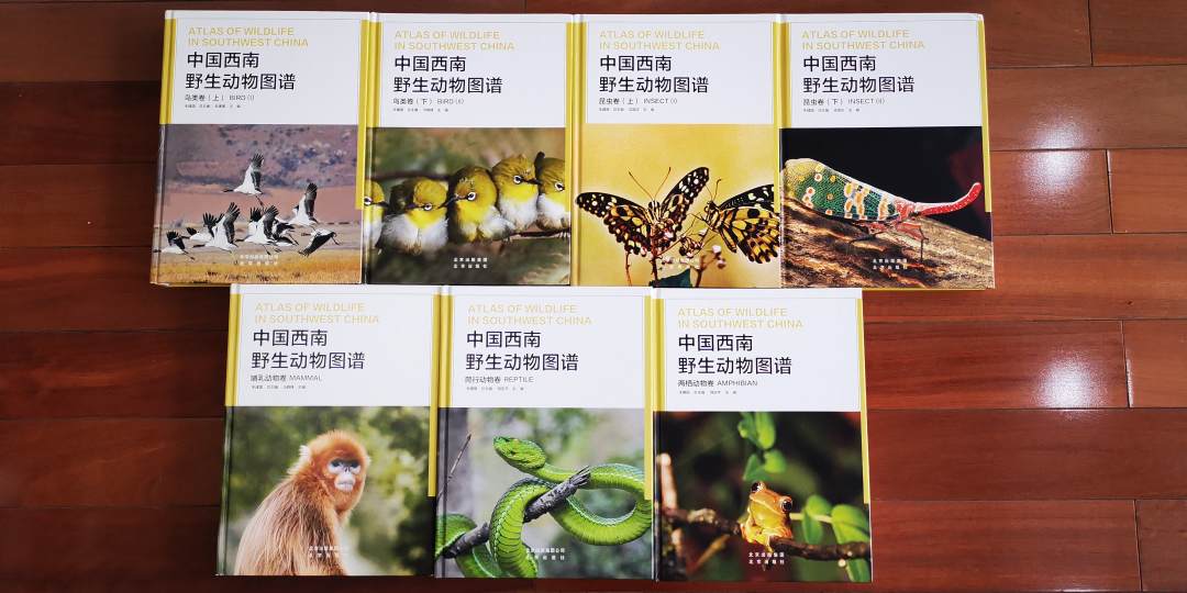 电子游戏app下载安装