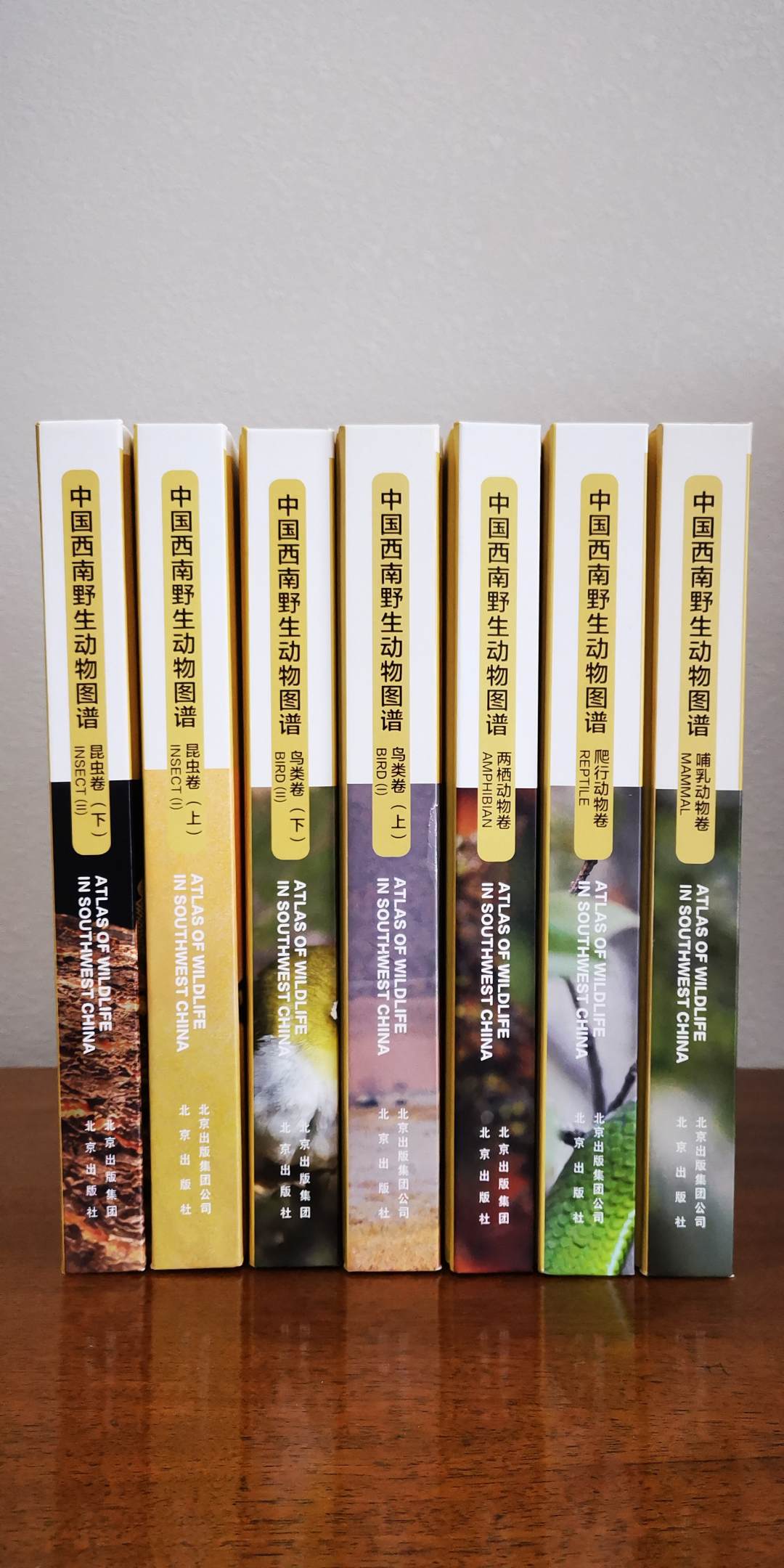 电子游戏app下载安装