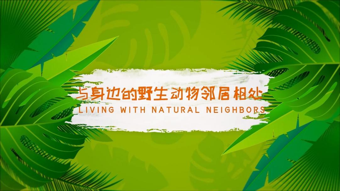 电子游戏app下载安装