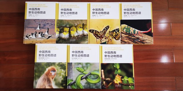 电子游戏app下载安装