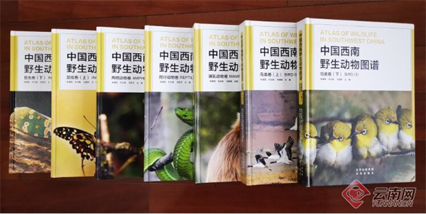 电子游戏app下载安装