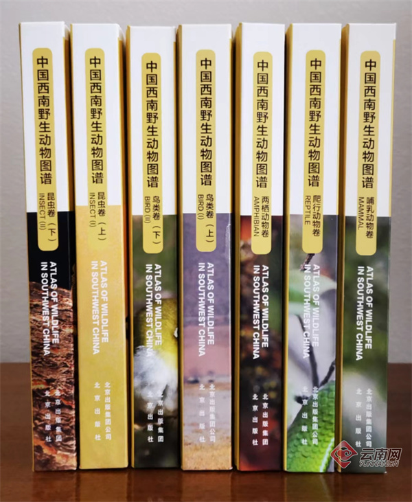 电子游戏app下载安装