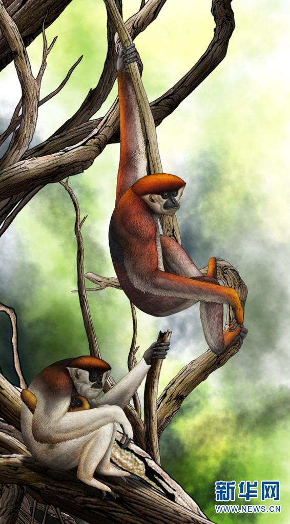 电子游戏app下载安装