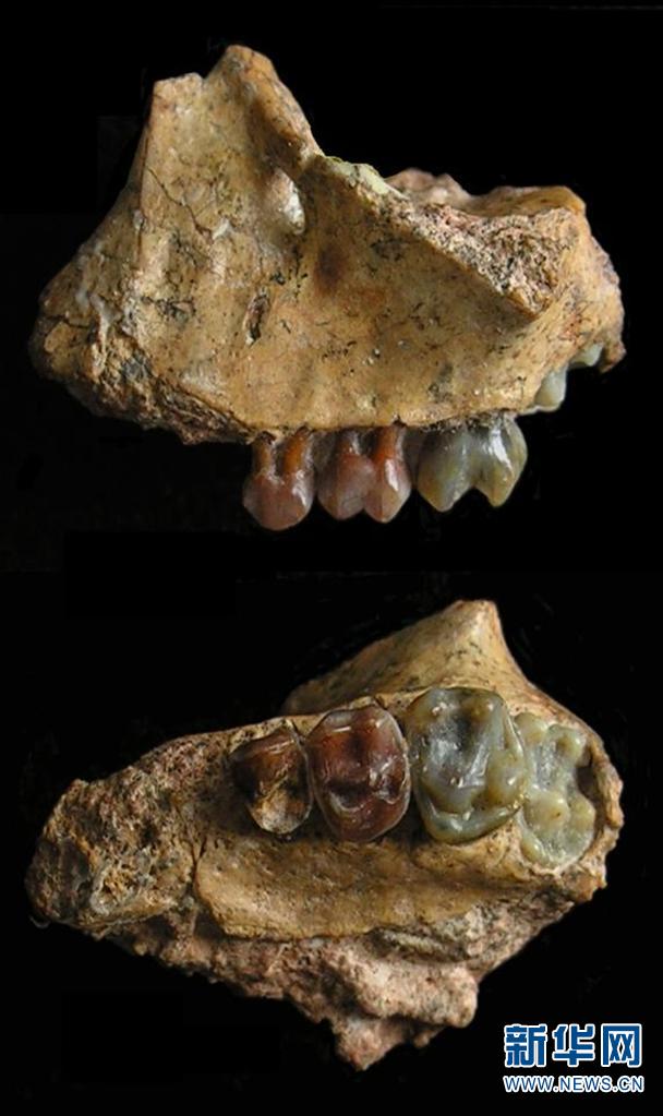 电子游戏app下载安装