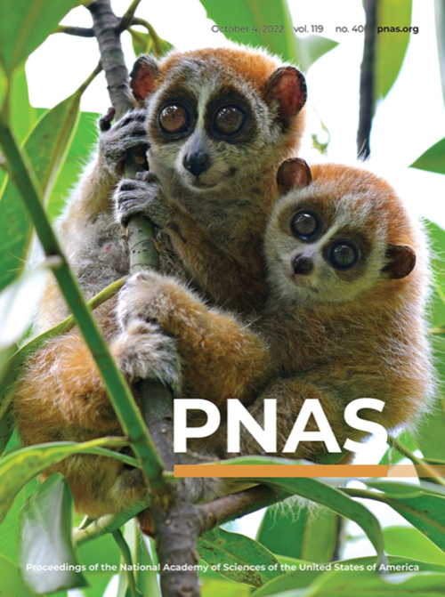 电子游戏app下载安装