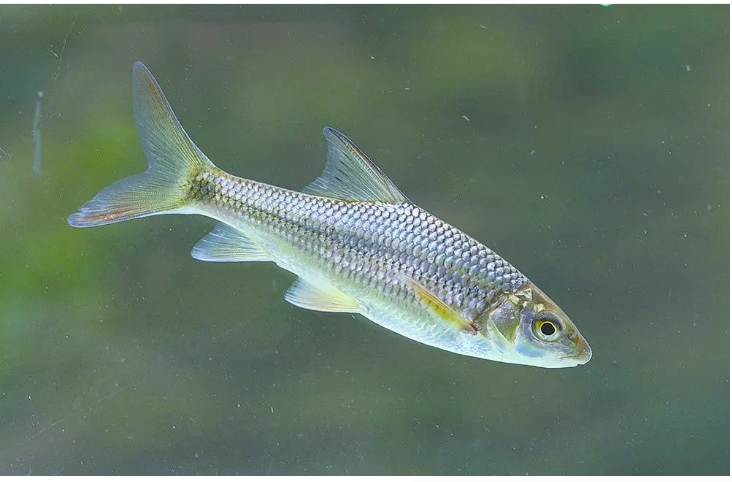 电子游戏app下载安装