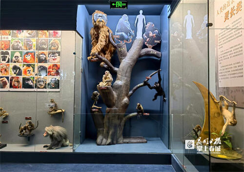 电子游戏app下载安装