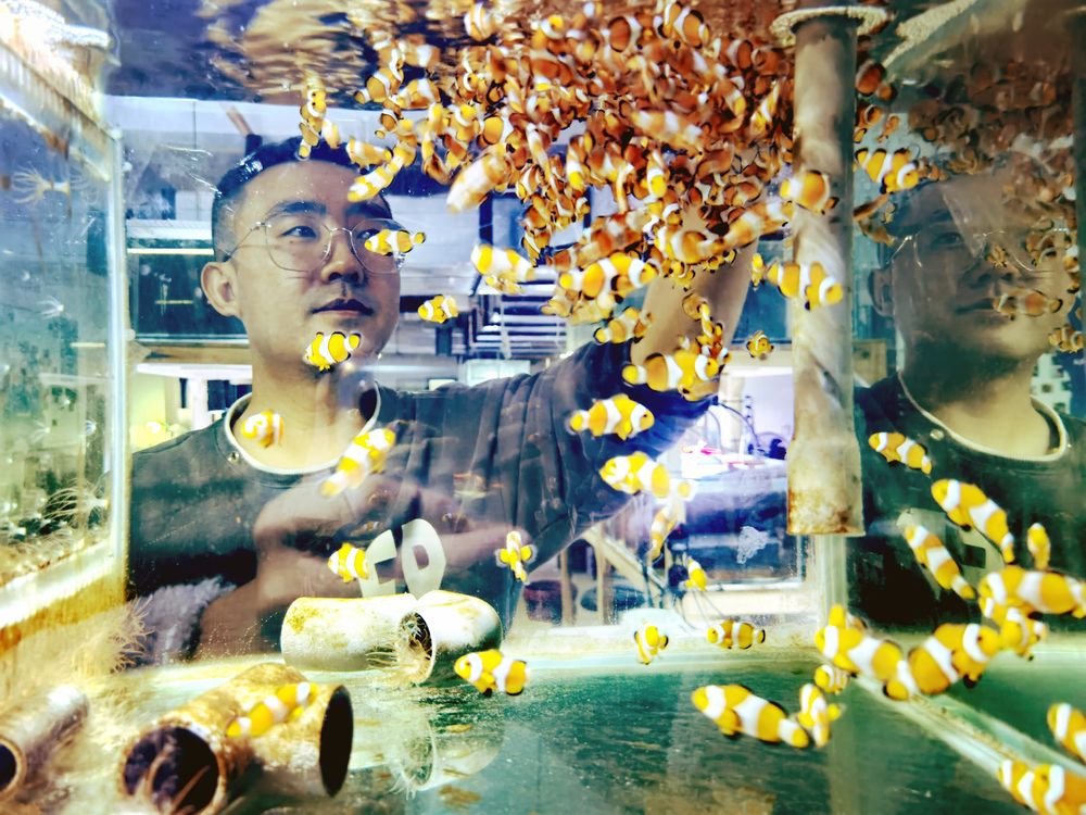 电子游戏app下载安装