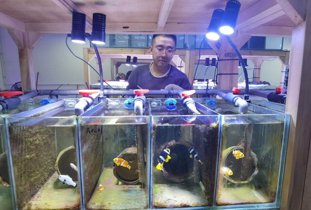 电子游戏app下载安装