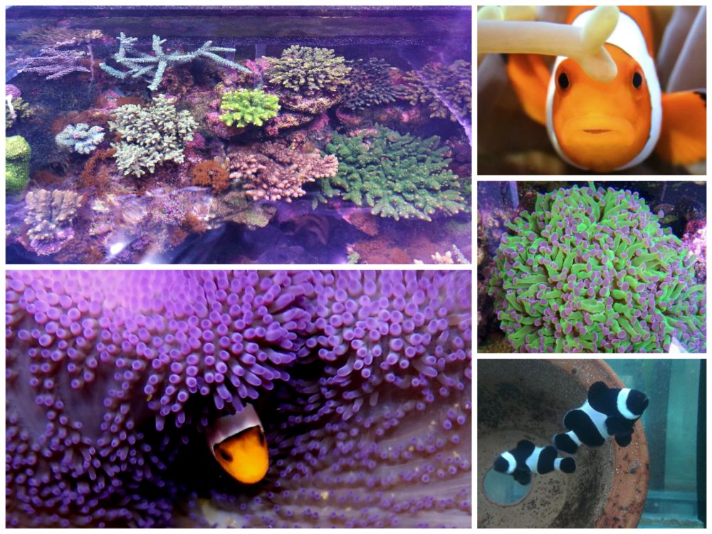 电子游戏app下载安装