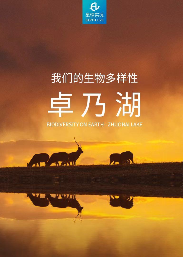 电子游戏app下载安装