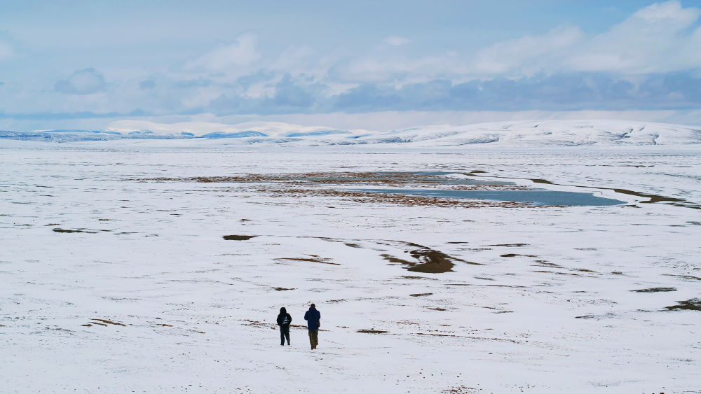电子游戏app下载安装