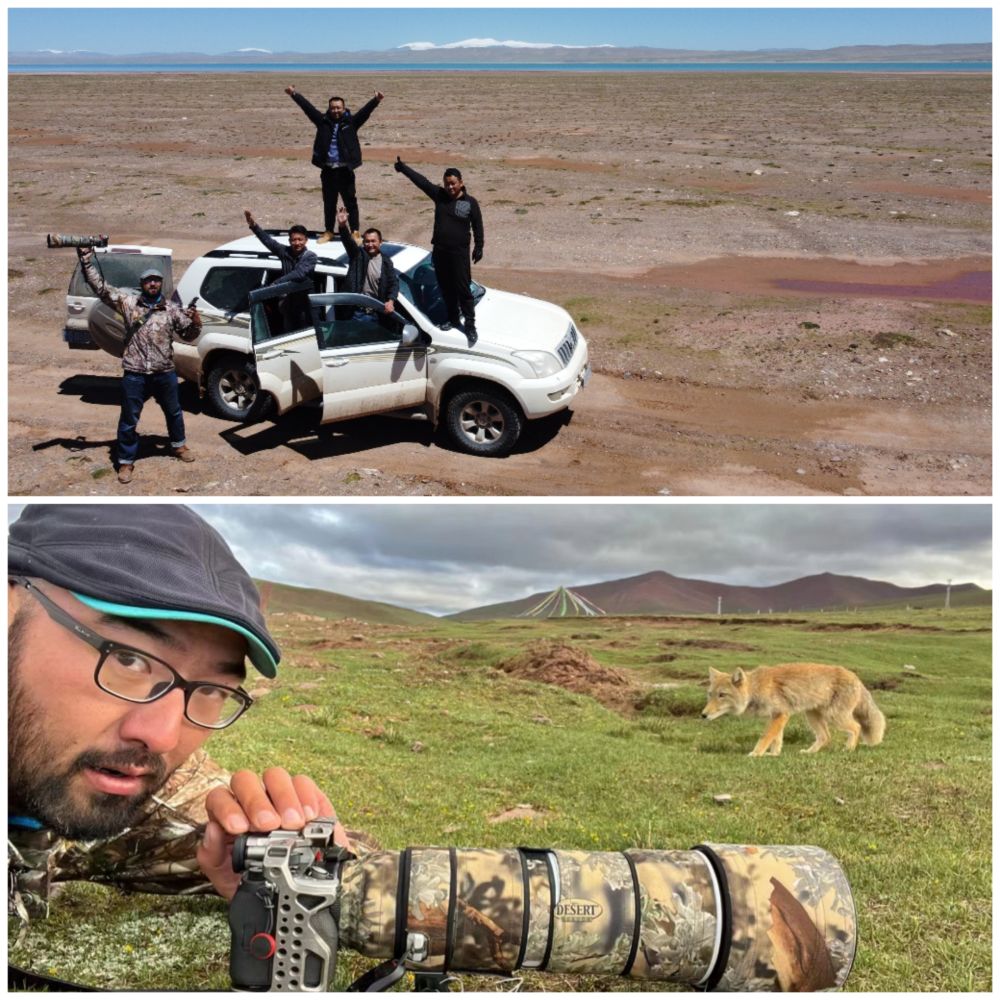 电子游戏app下载安装