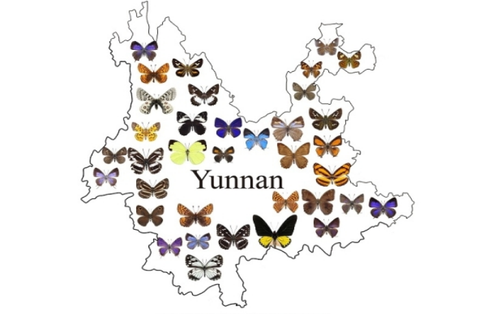 电子游戏app下载安装