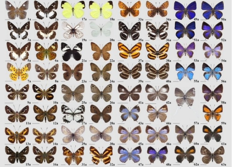 电子游戏app下载安装