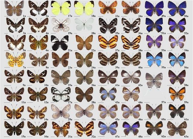 电子游戏app下载安装