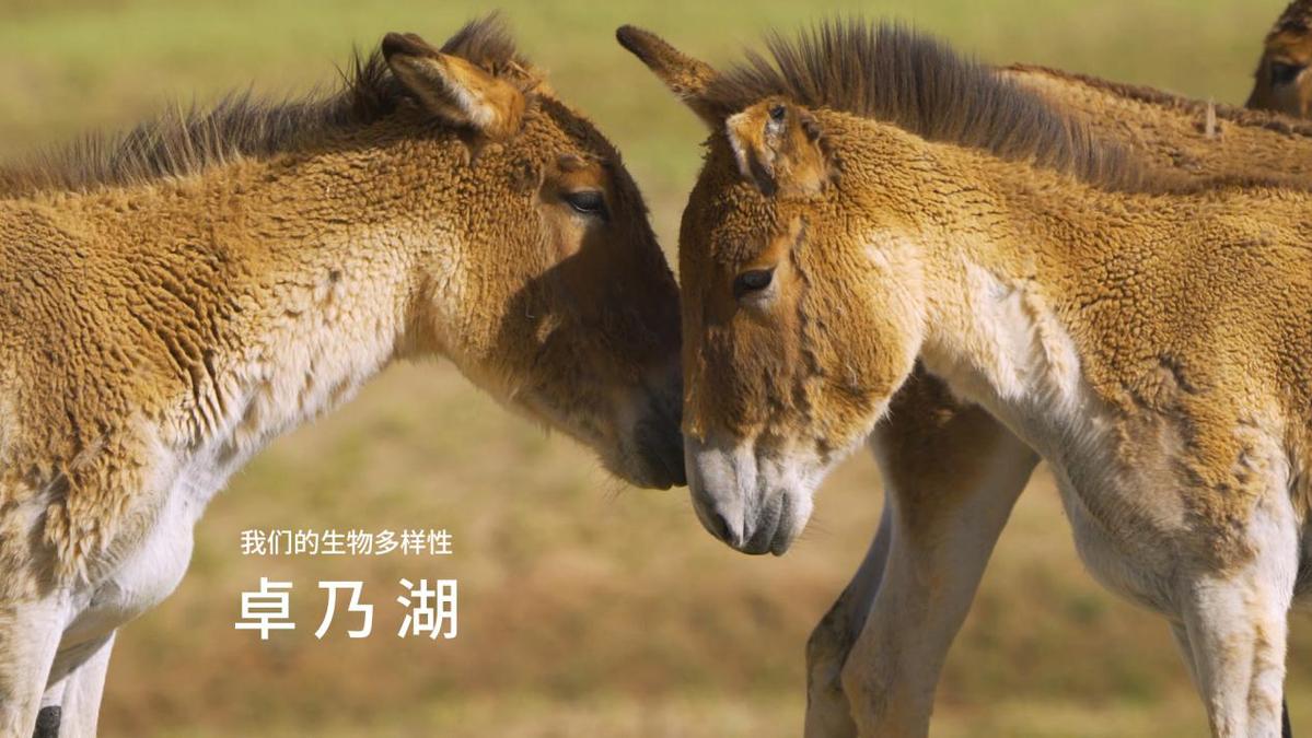 电子游戏app下载安装