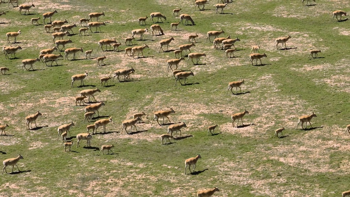 电子游戏app下载安装