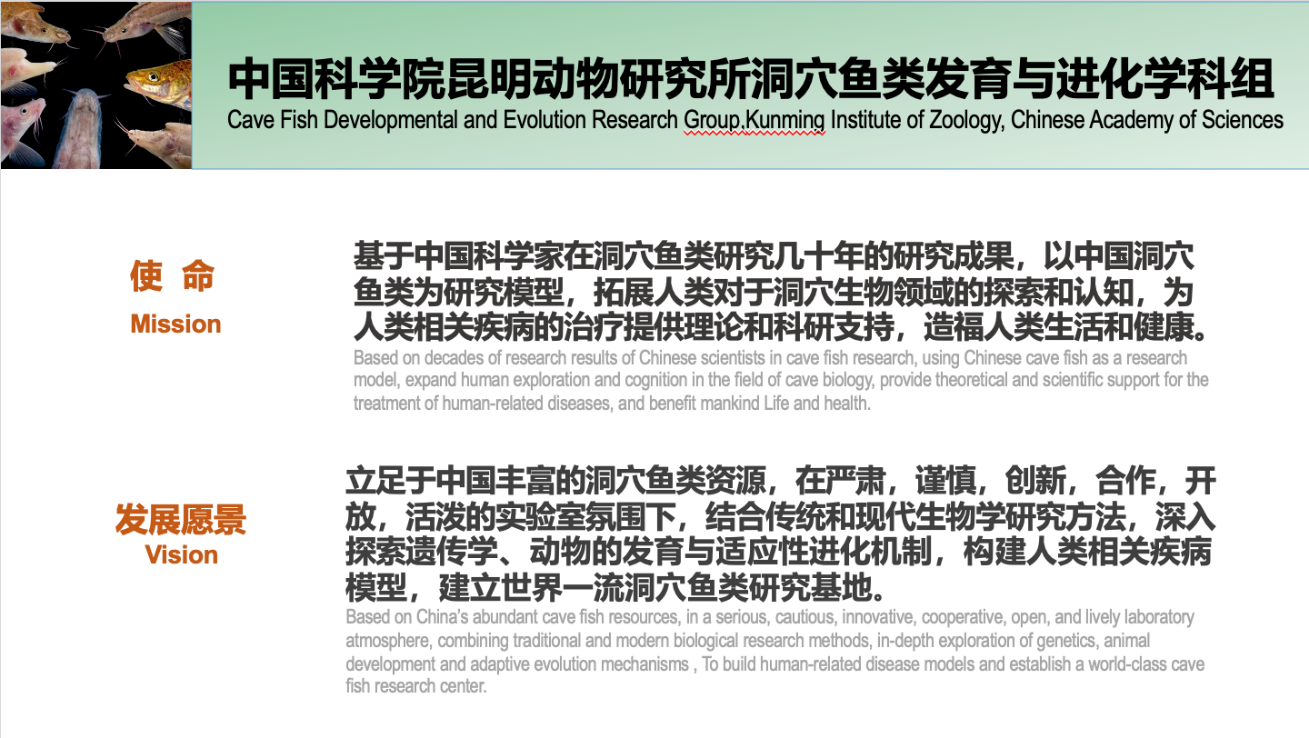 电子游戏app下载安装