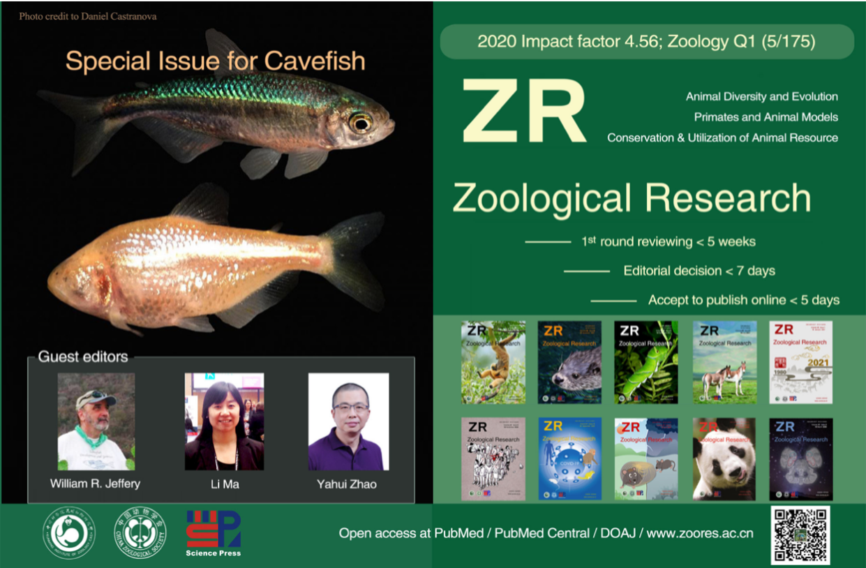 电子游戏app下载安装