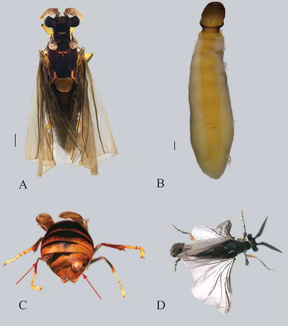 电子游戏app下载安装